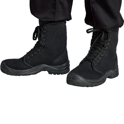 303239 main.png