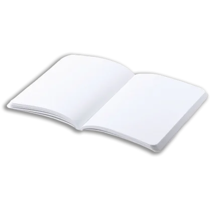 310251 main.png