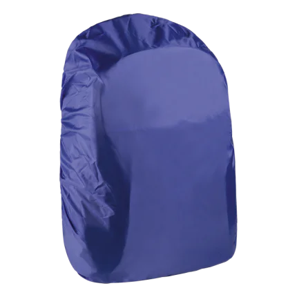 310580 main.png