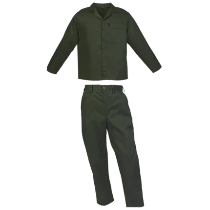 303163 olive.png